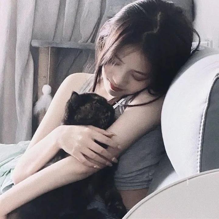 摄影师贝尔蒂与海豚零距离